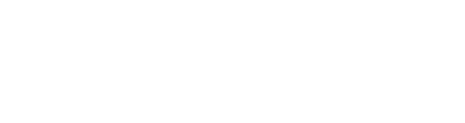 ecos del vinculo